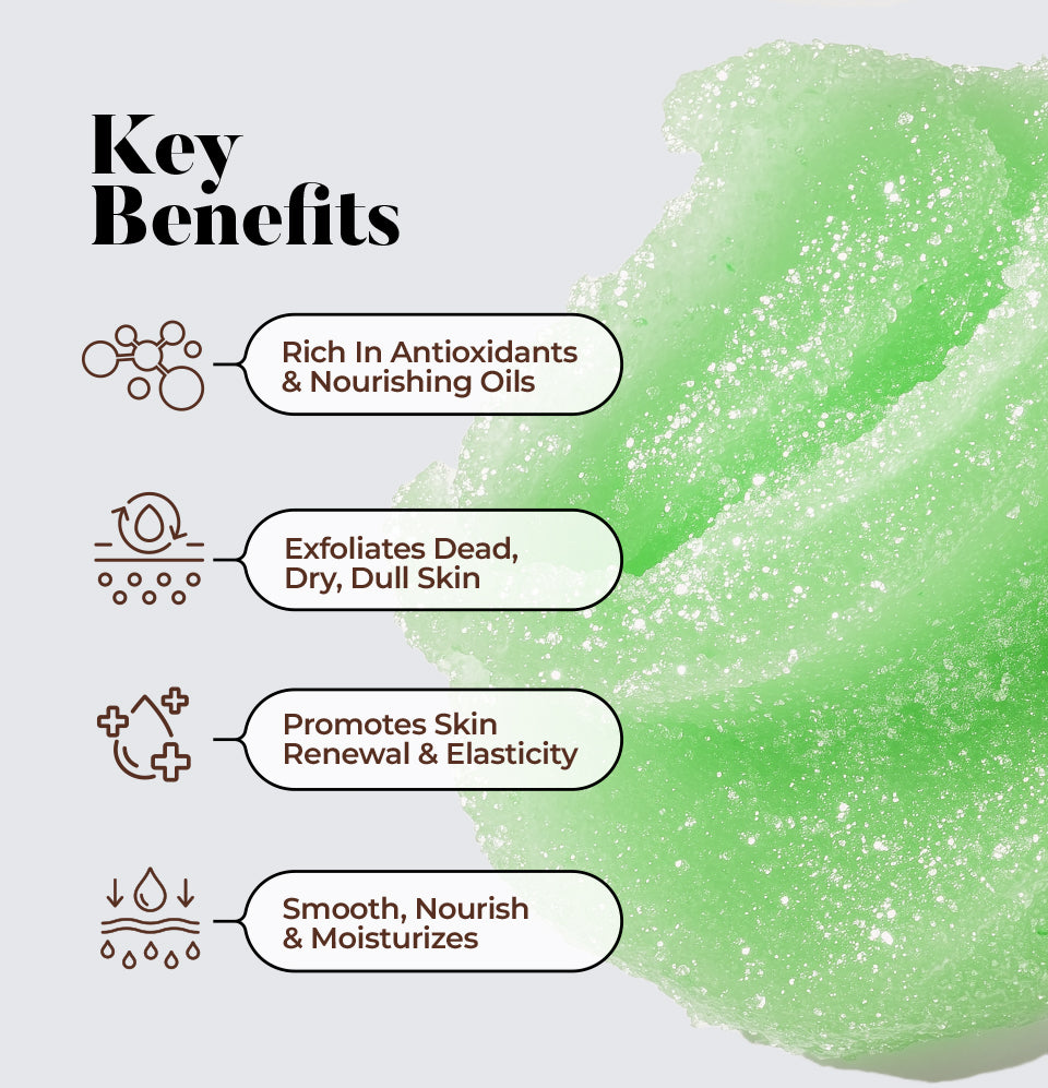 Body Sugar Scrub – Aloe Scent (16oz)