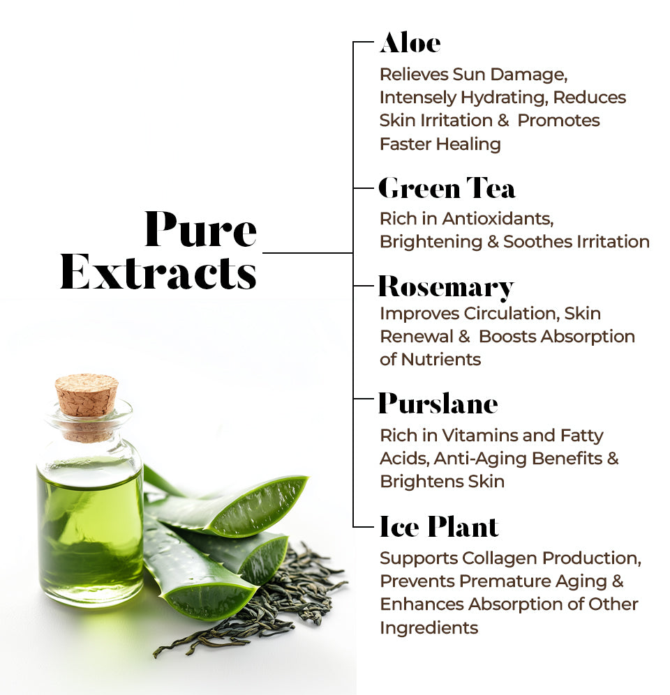 Body Sugar Scrub – Orange Scent (16oz)